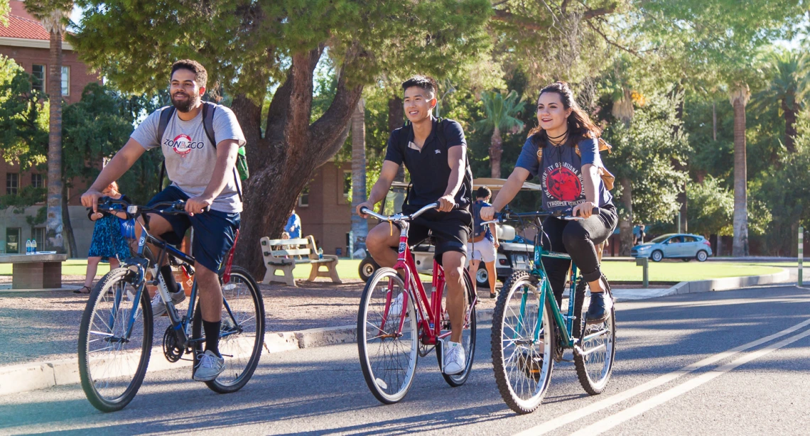 Three college students ride bicycles together on a sunny day at the University of Arizona. They are smiling and engaged in conversation as they cycle along a paved road lined with lush green trees and palm trees. The students are dressed casually, with backpacks on, suggesting they are on their way to or from class. In the background, other pedestrians are walking on campus, and a red-brick building is partially visible through the trees. The atmosphere is lively and welcoming, capturing a moment of student