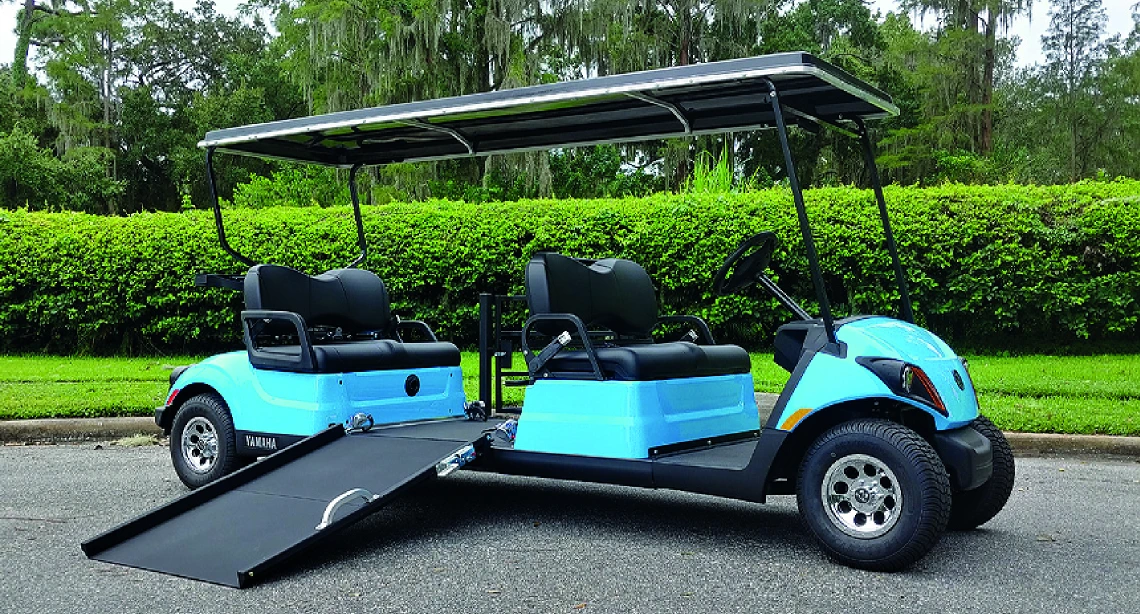 Disability Cart
