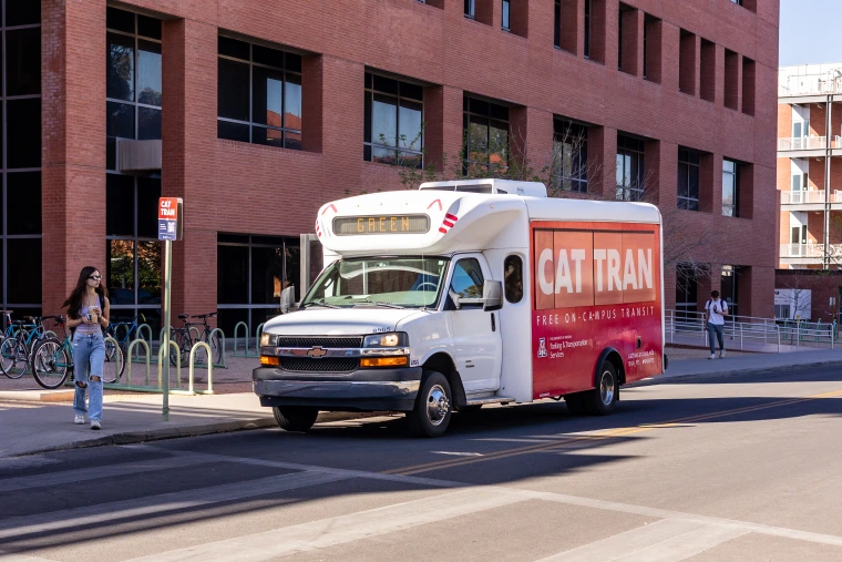 cat tran on street